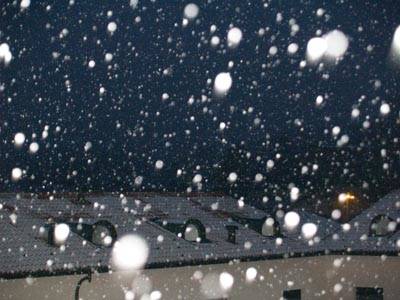 neve 2008 salvatore porcu