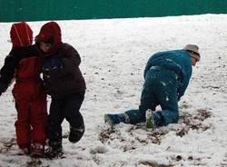 neve_provincia 2008
