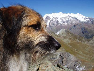 Anubi e il Monte Rosa