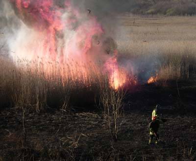 incendio biandronno