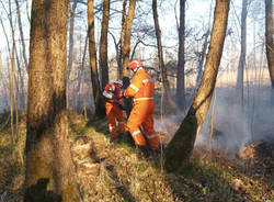 incendio canneto biandronno