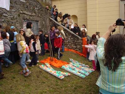 kaki tree project casciago 2008