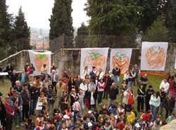 kaki tree project casciago 2008
