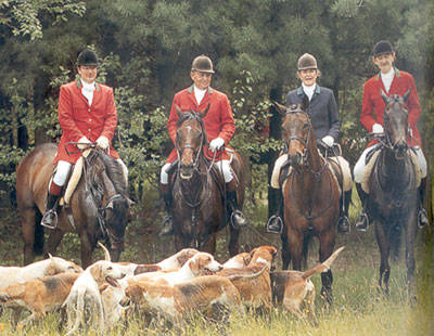 cavalli e brughiera