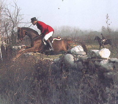 cavalli e brughiera
