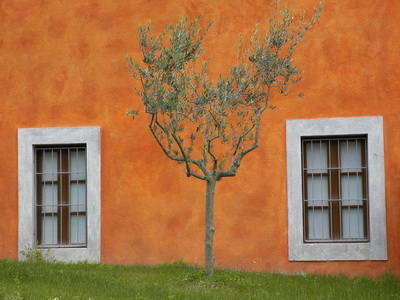 Colore