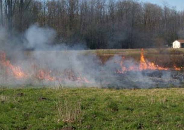 incendio bosco