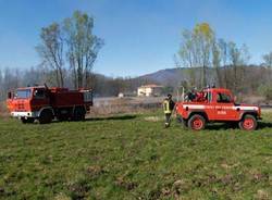 incendio bosco