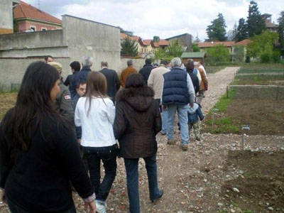 orto pubblico samarate