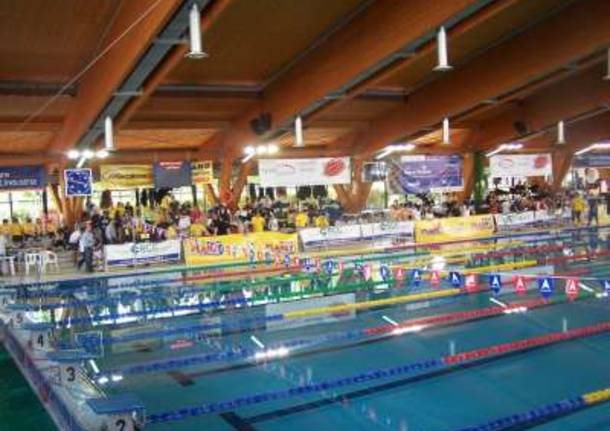 piscina manara busto trofeo ispra nuoto