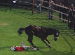 balosso cavallo ucciso palio legnano 2008