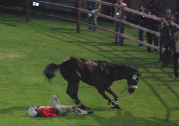 balosso cavallo ucciso palio legnano 2008