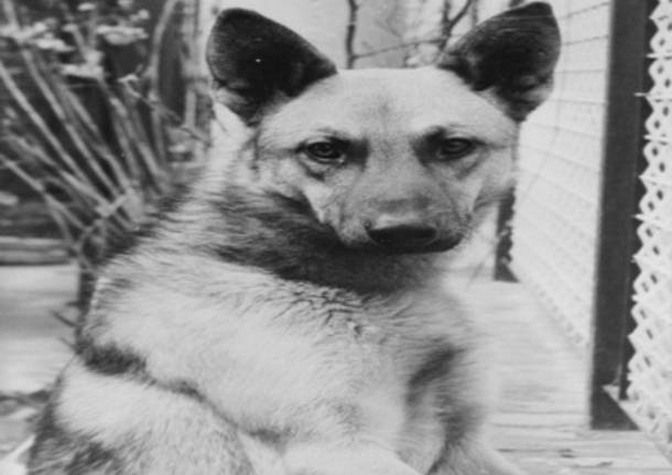 Max