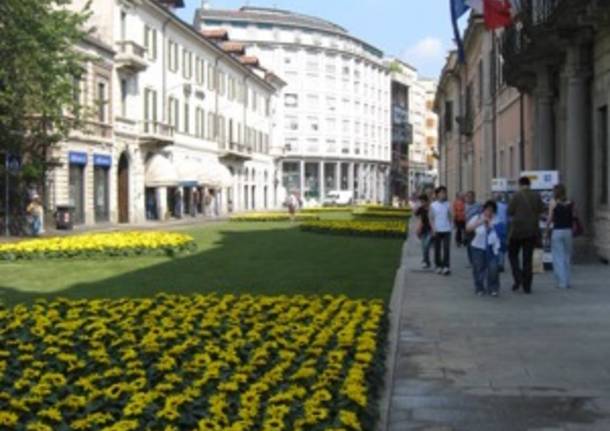 fiori via sacco notte bianca 2008