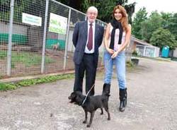 gallarate canile silvia burgio caravati