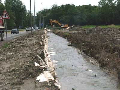 crazy bul buguggiate