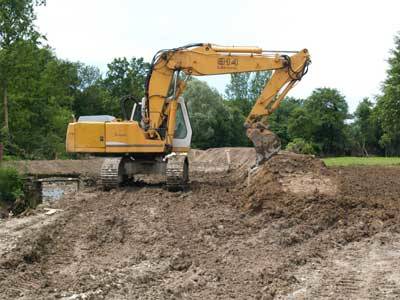 crazy bul buguggiate