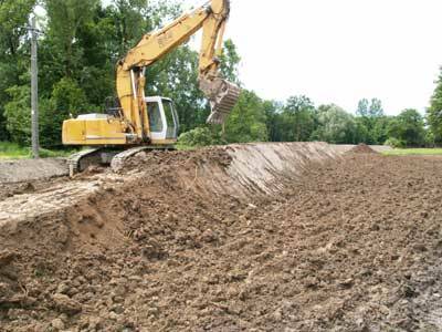 crazy bul buguggiate