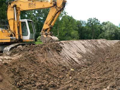 crazy bul buguggiate