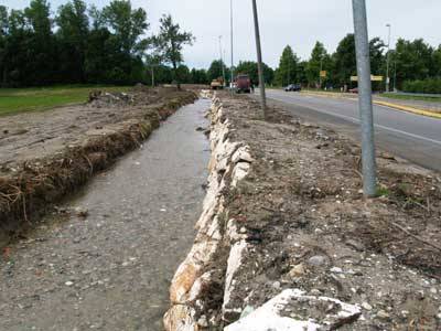 crazy bul buguggiate