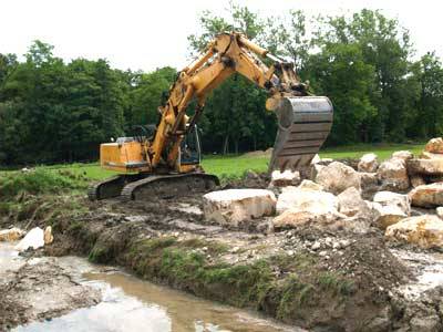 crazy bul buguggiate