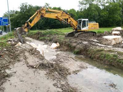 crazy bul buguggiate