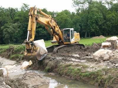 crazy bul buguggiate