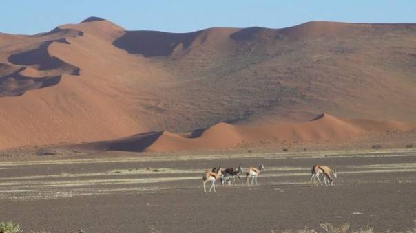 Namibia