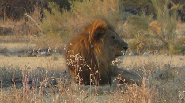 Namibia