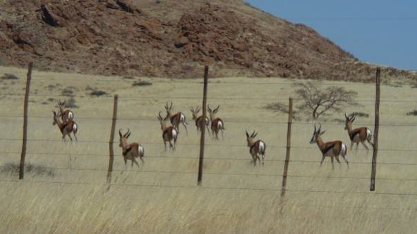 Namibia
