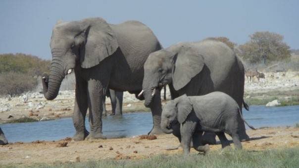 Namibia
