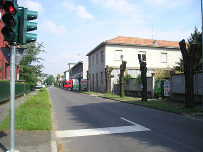 taglio robinie via valle olona busto arsizio