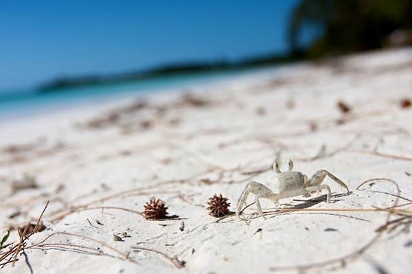 Zanzibar