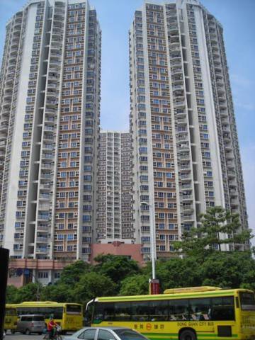 Cina