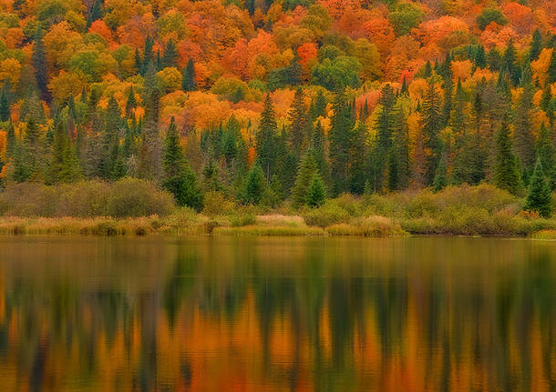 Colori canadesi