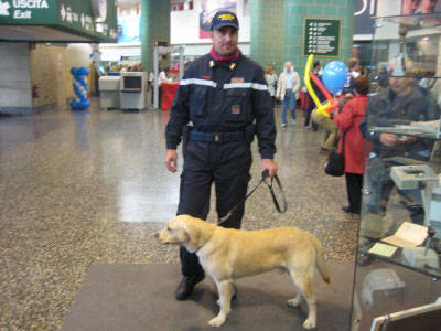 decimo compleanno malpensa