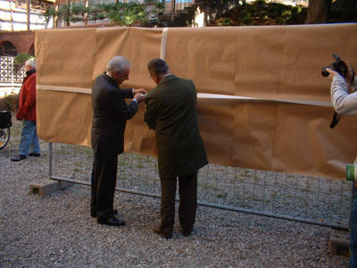 gonfolite castiglione olona