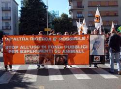 manifestazione lav busto arsizio