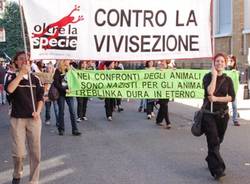 manifestazione lav busto arsizio