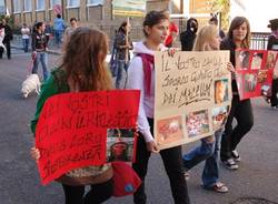 manifestazione lav busto arsizio