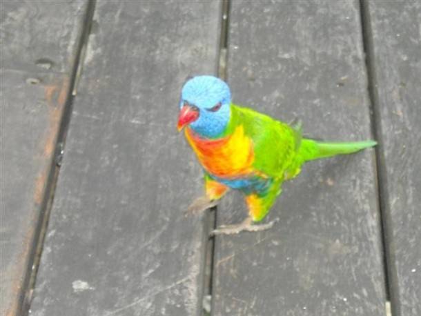 Australia
