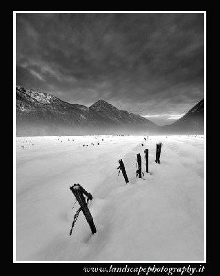 Frangar, non flectar