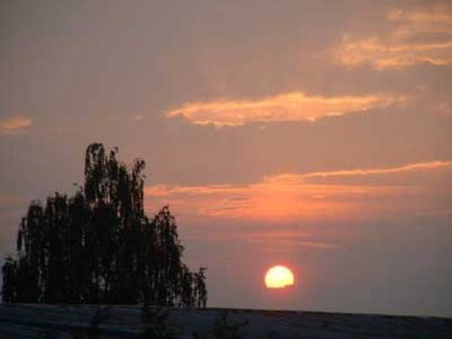 meteo annuario marzo