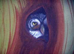 Paola Cammarata opere