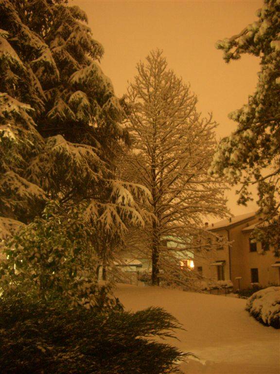 Albizzate by night