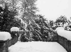 castello masnago nevicata