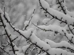 foto lettori nevicata 2009 galleria 5