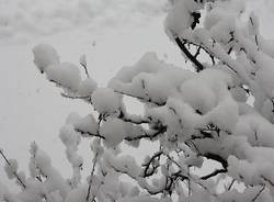 foto lettori nevicata 2009 galleria 5