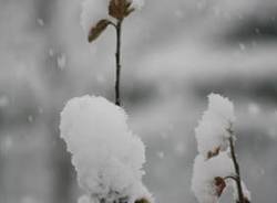 foto lettori nevicata 2009 galleria 5