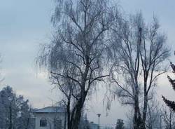 galaverna sacconago busto arsizio 5-1-2009 inverno freddo gelo brina meteo